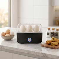 Cuiseur à œufs électrique portable mini pour la maison, cuiseur vapeur en acier inoxydable pour 3 œufs, prise US/EU, cuiseur à œufs automatique avec arrêt automatique