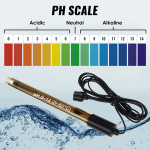 Electrodo de PH Más Vendido, Cable Conector BNC de 200 cm de Longitud con Polvo de Calibración, Electrodo de PH para Laboratorio de Hidroponía (OEM), Envío Gratuito - Product Image 4