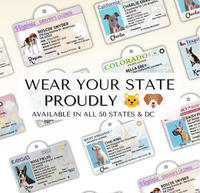 Plaque d'identification personnalisée pour chiens et chats - Étiquettes d'identification pour animaux de compagnie personnalisées, résistantes, avec nom, photo et numéro de téléphone (carte de poche)