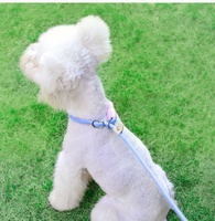 Laisse pour chien réglable anti-traction à poignée souple, motif floral, sans étranglement, pour l'entraînement
