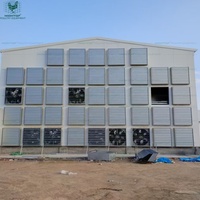 Estructura de Acero Estándar ISO para Gallineros, Moderna Granja Avícola Prefabricada para la Cría de Gallinas Ponedoras