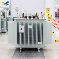 Transformador Sumergido en Aceite TSTY de 50kva, 100kva, 200kva, 500kva, 1000kva, 2000Kva, 11kv, 33kv