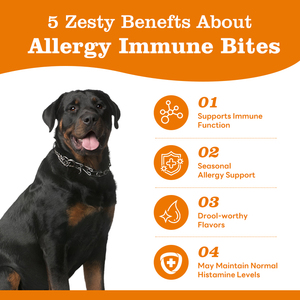 Fabricage Groothandel 15 <span class=keywords><strong>In</strong></span> 1 Multivitamine Voor Huisdieren Hond Vitamine Gezondheidssupplement Zacht Kauwt Voedingssupplement Voor Huisdieren - Product Image 4