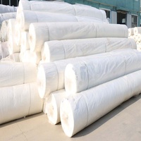 Tissu géotextile tissé noir en polypropylène résistant aux UV 100g 120g pour clôture anti-silt et contrôle de l'érosion des chaussées