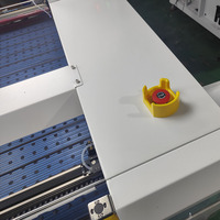 Nuevo Cortador Láser de CO2 con Detección Visual Inteligente por IA, Riel Guía Hiwin, Corrección Automática Digital de Alta Precisión para Todo Tipo de Material