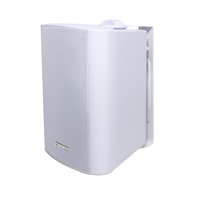 M New Arrival Wifi Active Wireless Blue tooth Speaker 4*30W 8 ohm Outdoor Waterproof BT Wall Mounted Speaker