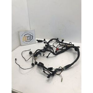 Cablaggio Indicatore Anteriore Destro Kawasaki Er6f Er6n Gtr1400 Zx10r Z1000 Zx6r - Product Image 3
