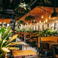 Ensemble de mobilier de restaurant au design moderne et contemporain - Tables en bois à bord naturel, chaises en métal noir, banquettes en cuir/tissu - Usage commercial