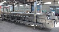 Industriële productielijn voor aardappelchips van 200 kg/uur met automatische friteuse voor snacks