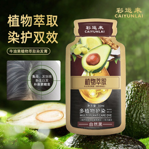 Crème de teinture capillaire à l'avocat Extrait de plante Protection des cheveux Crème de blanchiment gratuite à base de fruits pour un usage domestique - Product Image 4