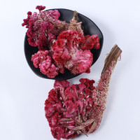 Bunga Cockscomb Ji Guan Hua, Herbal Cina Celosiae Cristatae Flos Kering AD Berkualitas Tinggi, Produk Herbal Kesehatan, Rempah Wanita