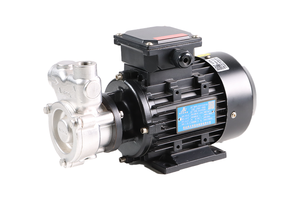 Bomba Autocebante de Alta Eficiencia de 50Hz, 45 L/min, 3 Fases, 380V para Sistemas de Limpieza Ultrasónica - Product Image 2