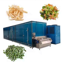 Nueva máquina automática de aperitivos para línea de producción de frutas y verduras congeladas