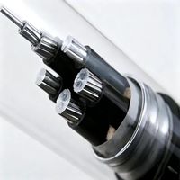 Câble en alliage d'aluminium résistant aux températures élevées et basses YJLHV22-4*70/4*95+1*50 mm² pour la production d'énergie éolienne