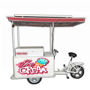 Triciclo Solar para Helados con Panel Solar y Refrigerador, 12V/24V CC, OEM ODM, para Pasajeros y Carga, con Certificación EEC DOT - Product Image 6