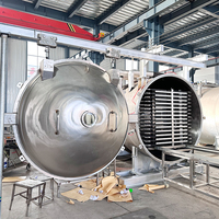 Hoogwaardige automatische multifunctionele 304 roestvrijstalen vacuümvriesdroogmachine voor fruit- en voedselverwerking