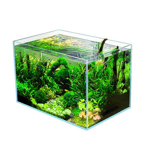 Transparent Square Glass Aquarium Mini Desktop Fish Tank Thickened Clear Water Tank For Small Pets And Plants - Product Image 2
