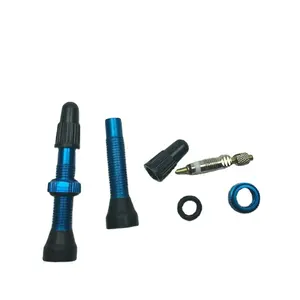 40mm 50mm 60mm bisiklet tubeless presta vanalar