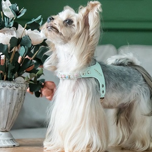 Arnés de Lujo para Perro con Diamantes de Colores, Productos y Accesorios para Mascotas al por Mayor - Product Image 3