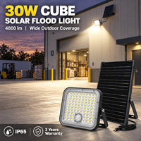 Projecteur solaire IP65 étanche 30W avec détecteur de mouvement PIR pour extérieur