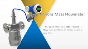 0.15% सटीकता गैस कोरिलोस मास फ्लोमीटर एसएस316एल एसिड रिमोट प्रकार -40~350 आरकेएस चीनी निर्माता