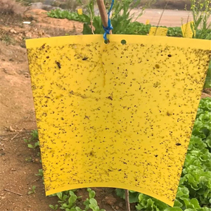 Paquete Combinado de Trampas Adhesivas Amarillas y Azules, Tableros de Pegamento de Doble Cara para Insectos, para Control de Plagas en Invernaderos como Pulgones, Trips y Moscas Blancas - Product Image 3