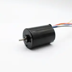 電動バイク用12V 24V 2838 DCブラシレスモーター高出力低ノイズDCモーターOEM工場カスタマイズ