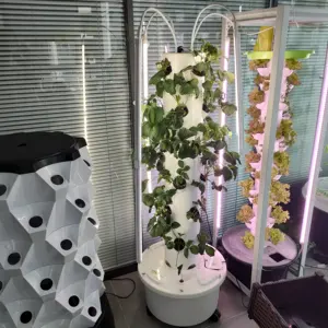 Lyine 2023新到水培种植系统垂直室内种植与绿叶蔬菜种植光塔花园