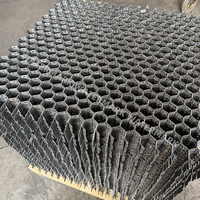 Fournisseur de revêtements réfractaires, treillis métallique hexagonal en acier inoxydable, treillis métallique hexagonal, H19 H25