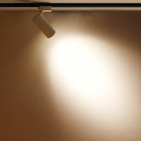 Spot lumineux décoratif encastré Durlite personnalisé 7W 10W 15W 20W 30W à intensité variable, luminaire COB 20W LED pour plafond