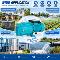 Pompe à jet auto-amorçante électrique SN, pompe à eau de surface en fonte pour l'irrigation domestique et les puits