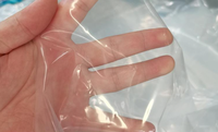 Serre tunnel en film plastique à simple portée pour l'agriculture, pour la culture verticale de légumes, système hydroponique