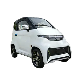 Mini electric car 2 seater Chinese 4 Wheel Electric Car 50KM/H Low Speed Electric Car With EEC