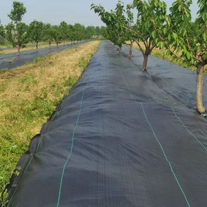 Tissu de <span class=keywords><strong>jardin</strong></span> noir 90g PP/PE Tissu <span class=keywords><strong>anti</strong></span>-<span class=keywords><strong>herbe</strong></span> noir pour serre Tapis de désherbage des arbres pour l'agriculture - Product Image 1