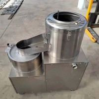 Aardappelsnijmachine Frietjes Chips Snijmachine Aardappelschiller