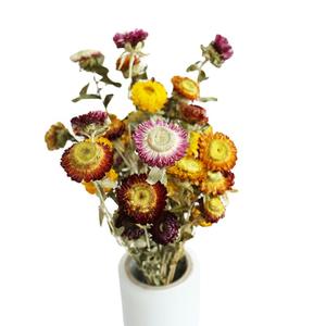 ดอกสตรอเวอรี่อบแห้ง20ชิ้น/แพ็คดอกไม้ธรรมชาติสีสันสดใสสำหรับตกแต่งบ้าน - Product Image 2