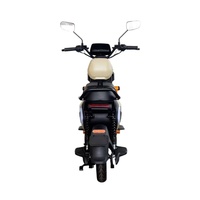 Nouvelle moto électrique JIATA U2 10 pouces 40V/60V 20-60AH 1000W Chopper Family Streetbikes avec pneus larges, batterie au lithium, pour la ville et les loisirs