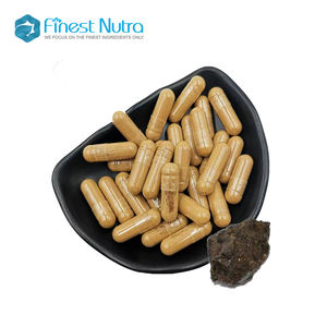 Cápsulas ricas de ácido fúlvico em pó de extrato de resina Shilajit Shilajit de fornecimento OEM ODM de fábrica - Product Image 4