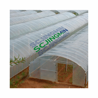 Serre de jardin en PE à double couche, petite, à simple travée, tunnel haut, accessible, avec isolation thermique et protection contre la pluie, pour légumes et fruits