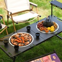 Table de barbecue multifonctionnelle pliable au charbon de bois, foyer d'extérieur pour camping, préparation du thé, cuisinière de jardin