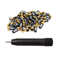 Nouvel outil d'extraction de micro-filtre d'injecteur de carburant Raytec pour la réparation et l'entretien des moteurs automobiles, modèle universel