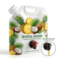 Poche souple avec robinet distributeur pour services alimentaires, jus de fruits, concentrés, cocktails, boissons froides 3L 5L