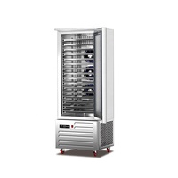 Congélateur-chiller à refroidissement par air IQF -45°C, sans givre, dégivrage automatique, 10-20 plateaux, congélation rapide pour poisson, viande, pain