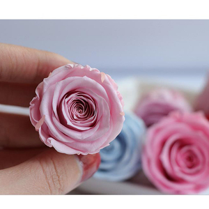 Factory Supply Wholesale Eternal <strong>Roses</strong> <strong>Infinity</strong> <strong>Rose</strong> Heads 3-4 cm Preserved <strong>Rose</strong> Head for Flower Arrangements - Product Image 6