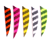 Plumes de dindon naturelles véritables pour le fletchage d'arrows de tir à l'arc, pour le bricolage, la chasse et le tir sur cible, accessoire d'arrow.