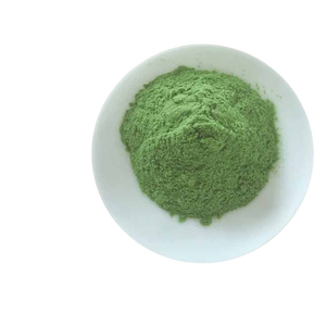 Versorgung Weizen grasex trakt Reines <span class=keywords><strong>Chlorophyll</strong></span> pulver Weizen gras pulver - Product Image 2