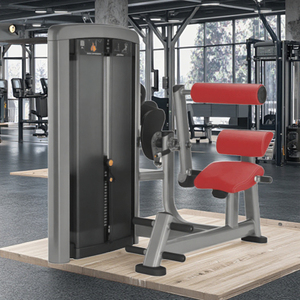 Máquina de Ejercicios de Extensión de Espalda con Selección de Carga por Pin QLK Fitness Equipment LK-020, Equipo Comercial para Gimnasio - Product Image 2