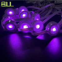 Lumière intelligente IP65 RGB permanente pour extérieur avec alimentation par prise pour éclairage décoratif extérieur et intérieur