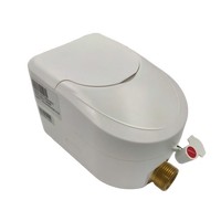 Compteur d'eau ultrasonique prépayé en laiton avec connectivité LoRaWAN - Protection IP68, personnalisable OEM, autonomie de la batterie au lithium de 10 ans