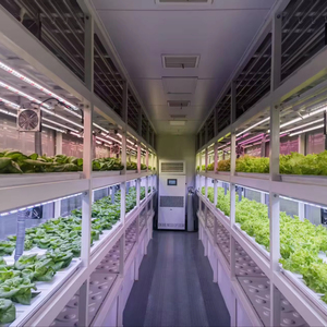Serre de culture verticale hydroponique automatique Seedafarm contrôlée par PLC, conteneur de 40 pieds pour la culture de légumes, usine de plantes avec pompe - Product Image 1